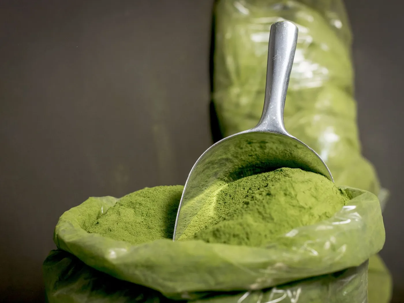 Moringa leaf powder in a scoop